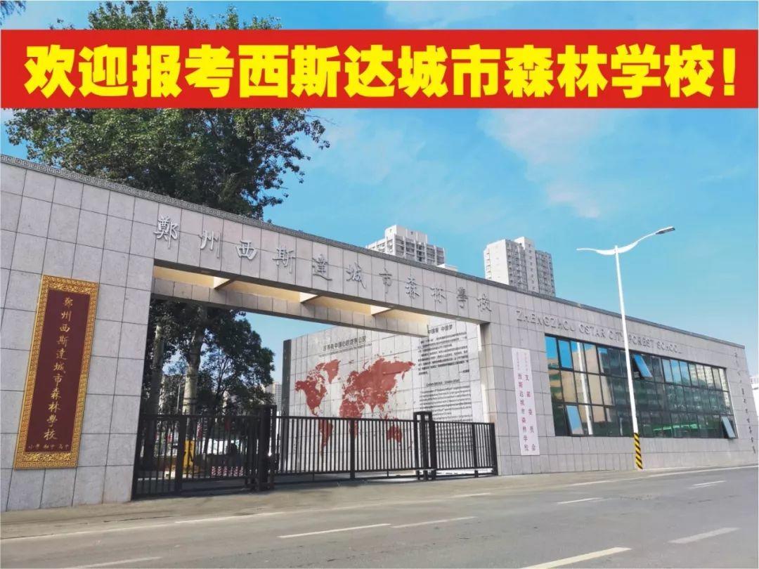 304am永利集团官网都会森林学校2019年小升初招生事情计划宣布啦~