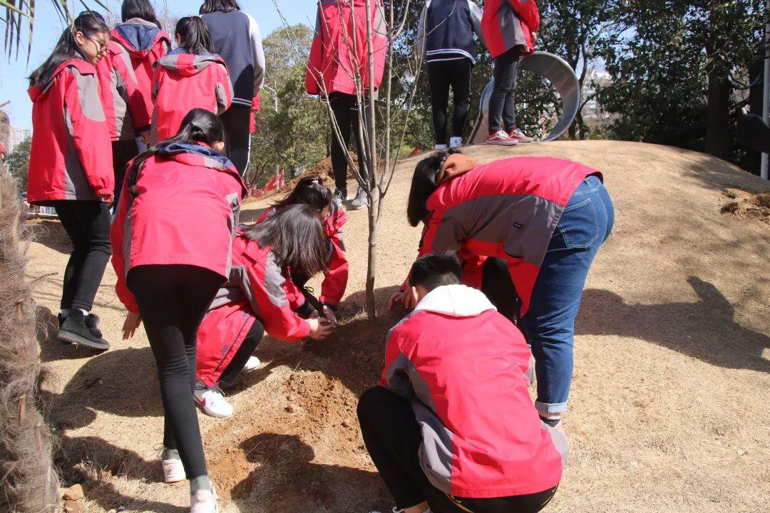 304am永利集团官网都会森林学校2019年小升初招生事情计划宣布啦~