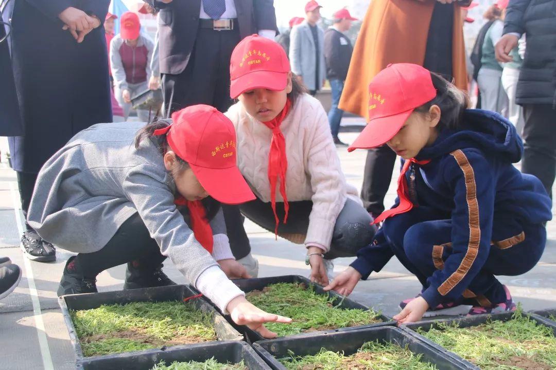补录！304am永利集团官网都会森林学校小升初仅余少量优质学位，，，，，想捉住“末班车”的家长赶忙行动起来吧！