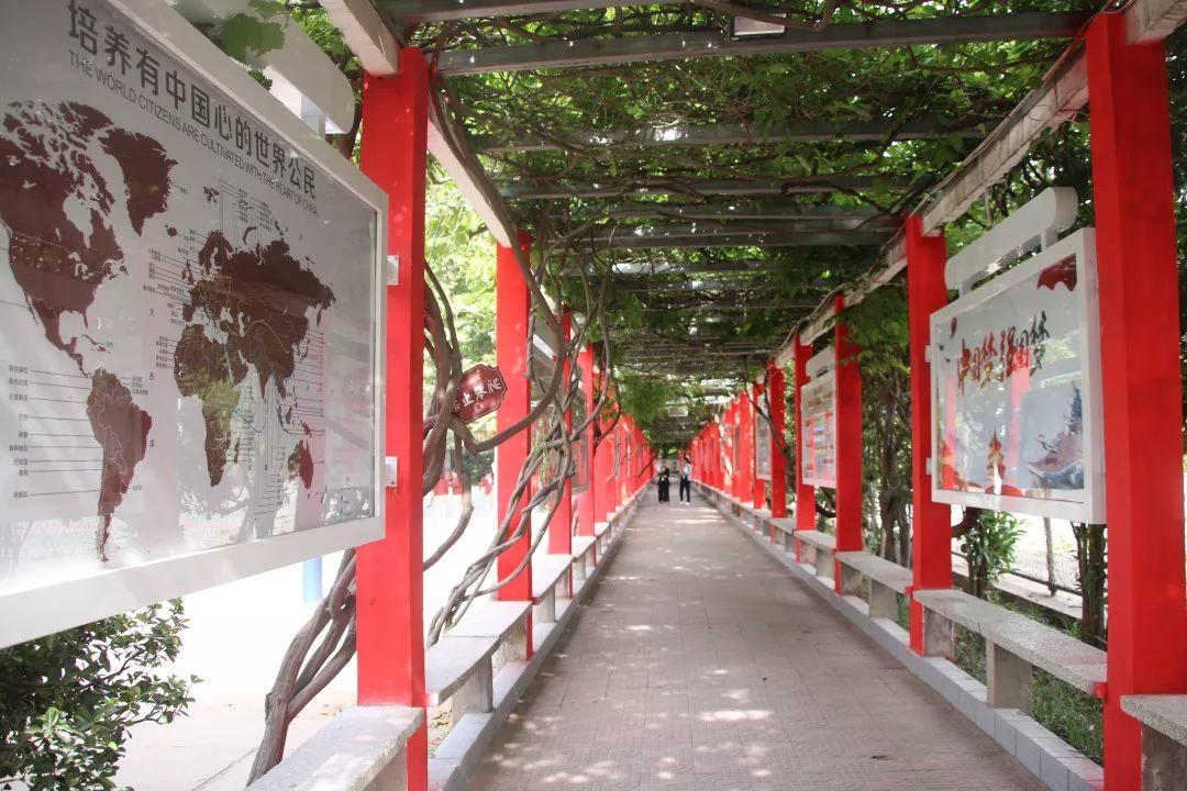 揭秘304am永利集团官网都会森林学校崛起的密码！