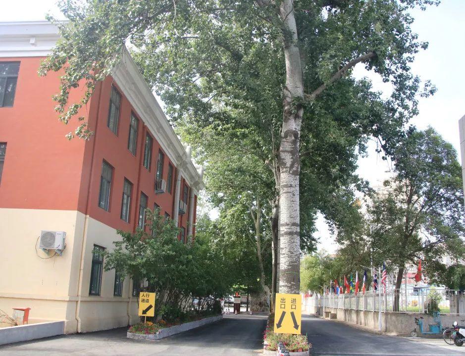 揭秘304am永利集团官网都会森林学校崛起的密码！