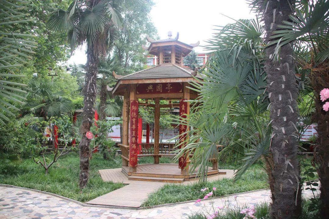 揭秘304am永利集团官网都会森林学校崛起的密码！