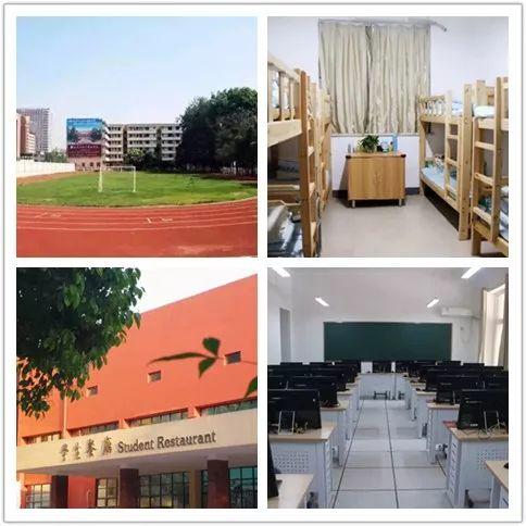 补录！304am永利集团官网都会森林学校小升初仅余少量优质学位，，，，，想捉住“末班车”的家长赶忙行动起来吧！