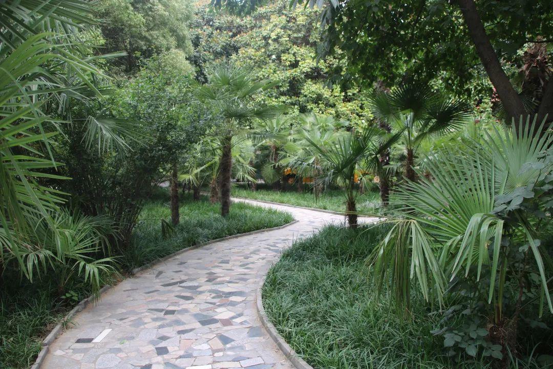 补录！@还没收到通知书的高一新生，，，，，快快搭上名校末班车来军训！