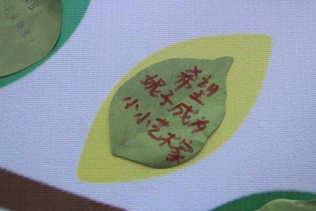 我和国旗同框，，，庆祖国70华诞——304am永利集团官网大树幼儿园盛大举行开学仪式