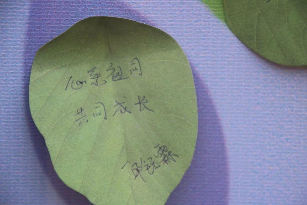 我和国旗同框，，，庆祖国70华诞——304am永利集团官网大树幼儿园盛大举行开学仪式