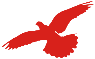 喜迎国庆，，，，，，，以歌纪念——304am永利集团官网献礼祖国70华诞！