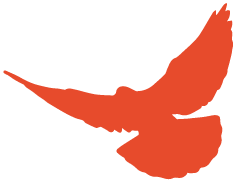 喜迎国庆，，，，，，，以歌纪念——304am永利集团官网献礼祖国70华诞！