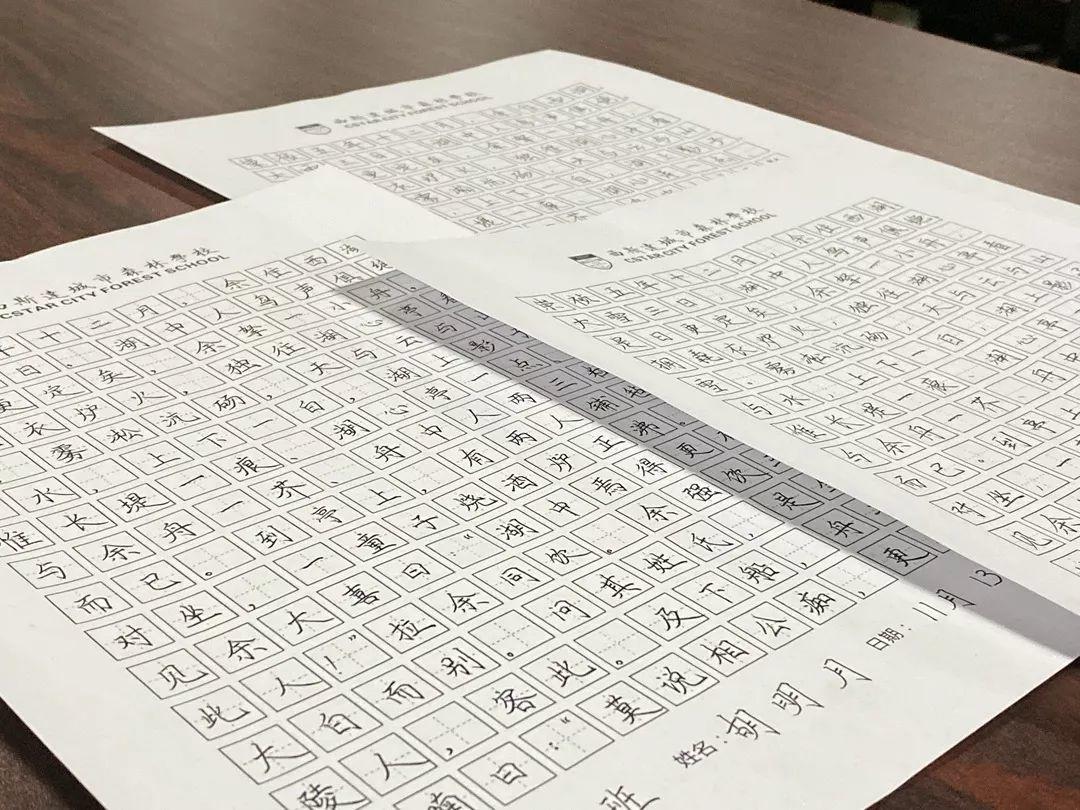 挥毫泼墨书细腻之韵 横平竖直立青云之志---304am永利集团官网都会森林学校初中部举行硬笔书法大赛