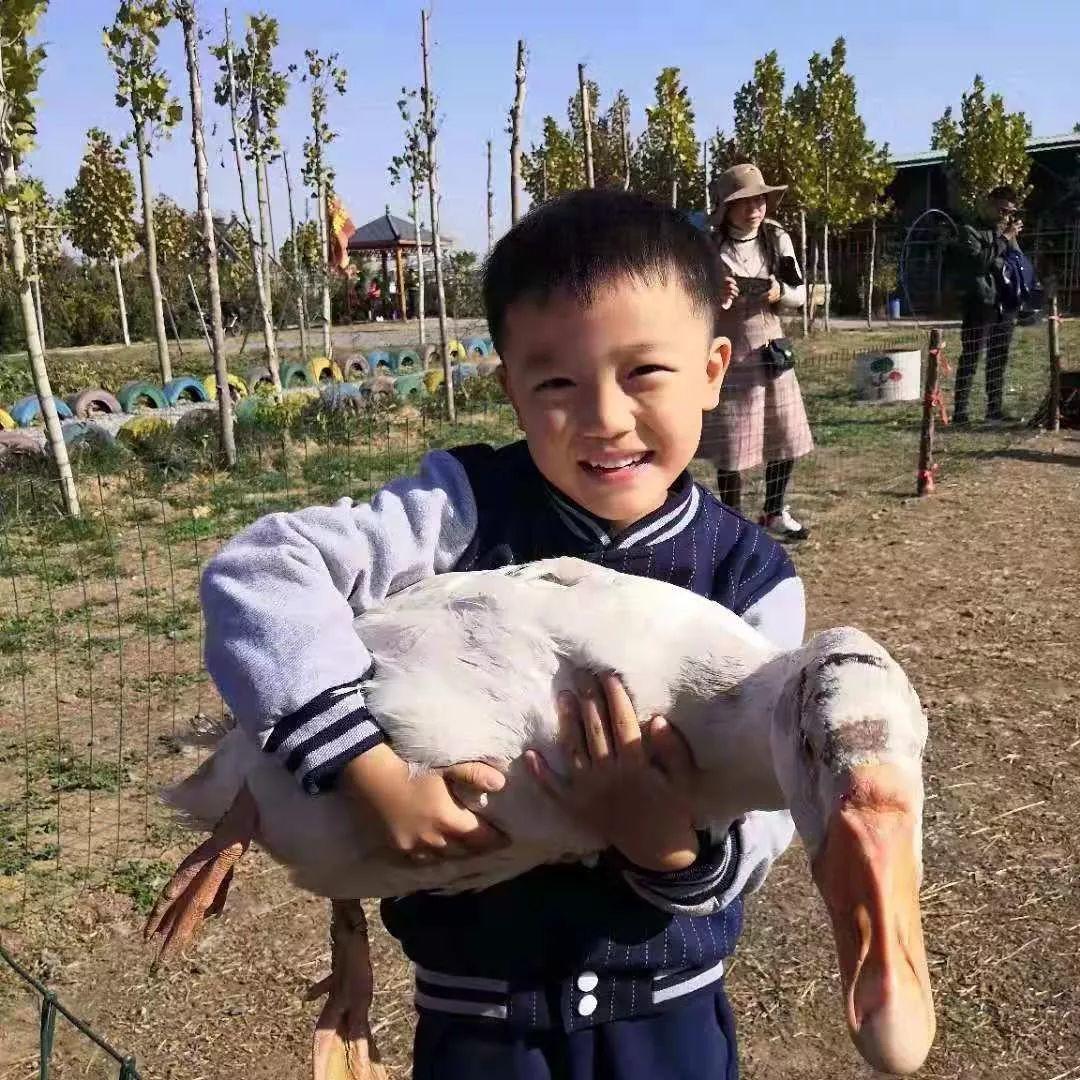 304am永利集团官网多元素养秋季亲子户外研学营——让孩子快乐学习！