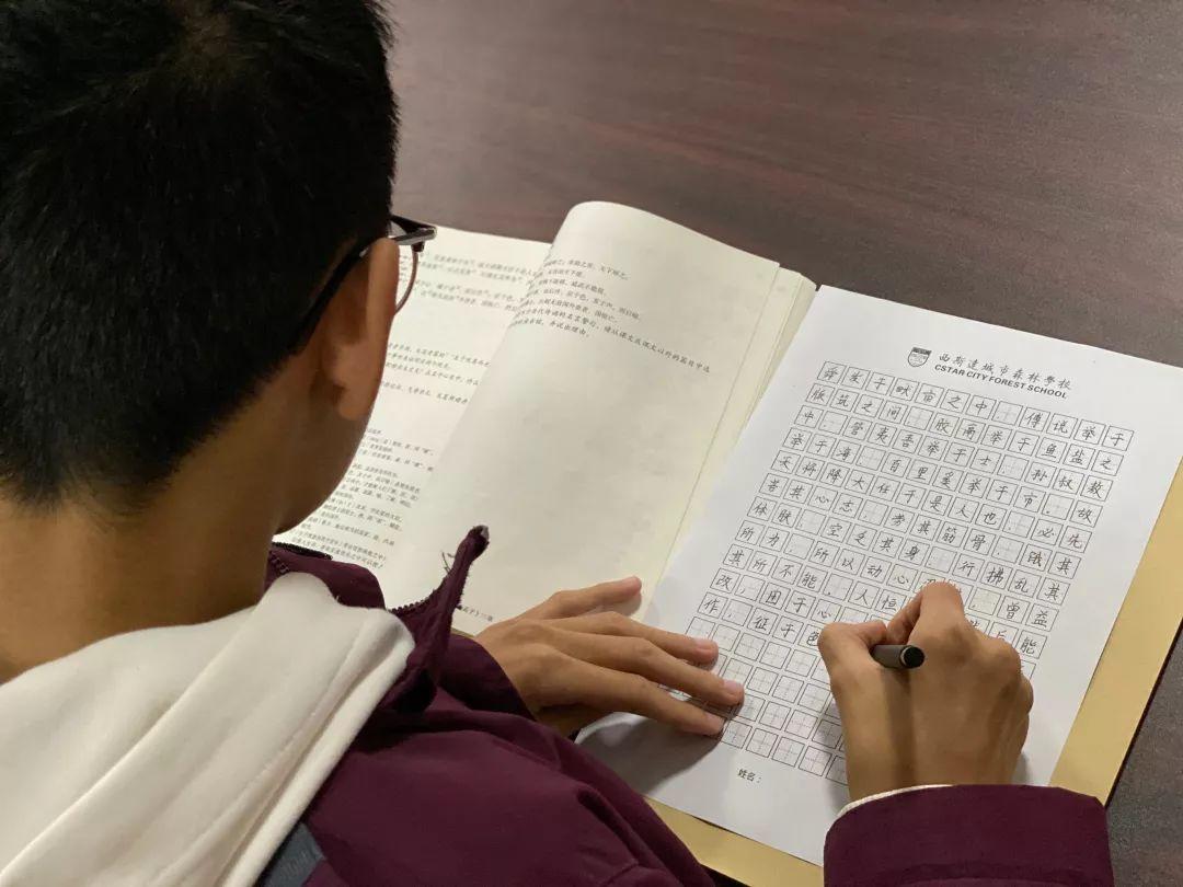 挥毫泼墨书细腻之韵 横平竖直立青云之志---304am永利集团官网都会森林学校初中部举行硬笔书法大赛