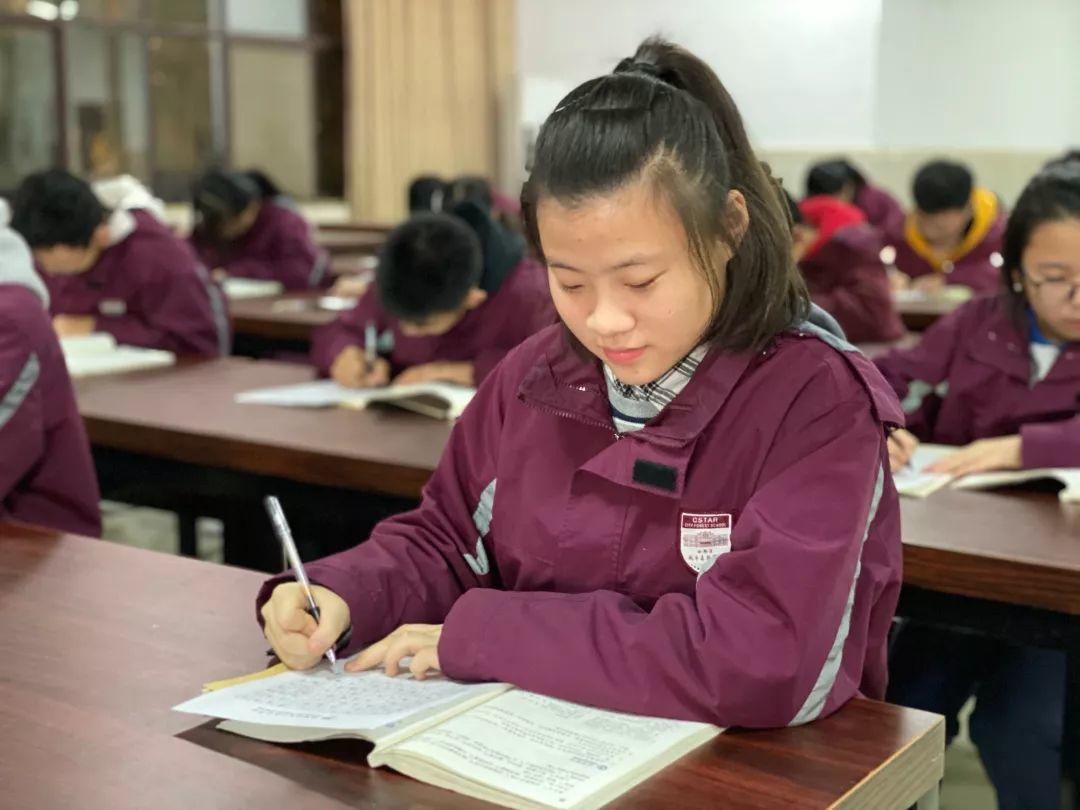 挥毫泼墨书细腻之韵 横平竖直立青云之志---304am永利集团官网都会森林学校初中部举行硬笔书法大赛