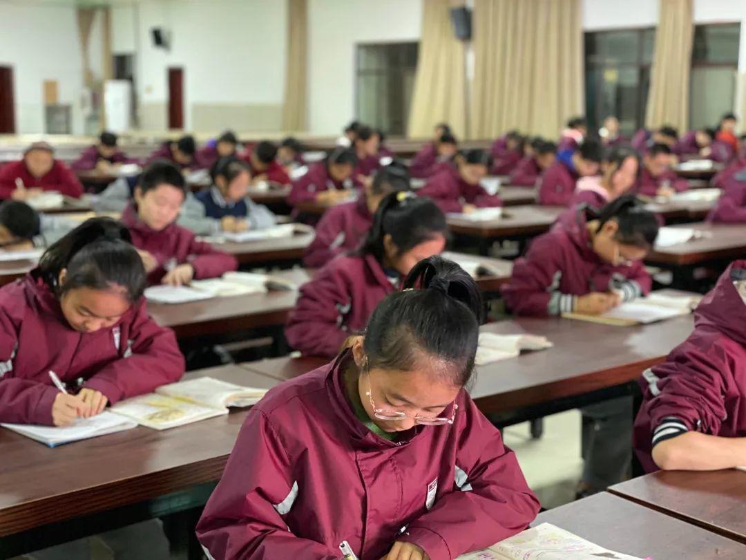 挥毫泼墨书细腻之韵 横平竖直立青云之志---304am永利集团官网都会森林学校初中部举行硬笔书法大赛