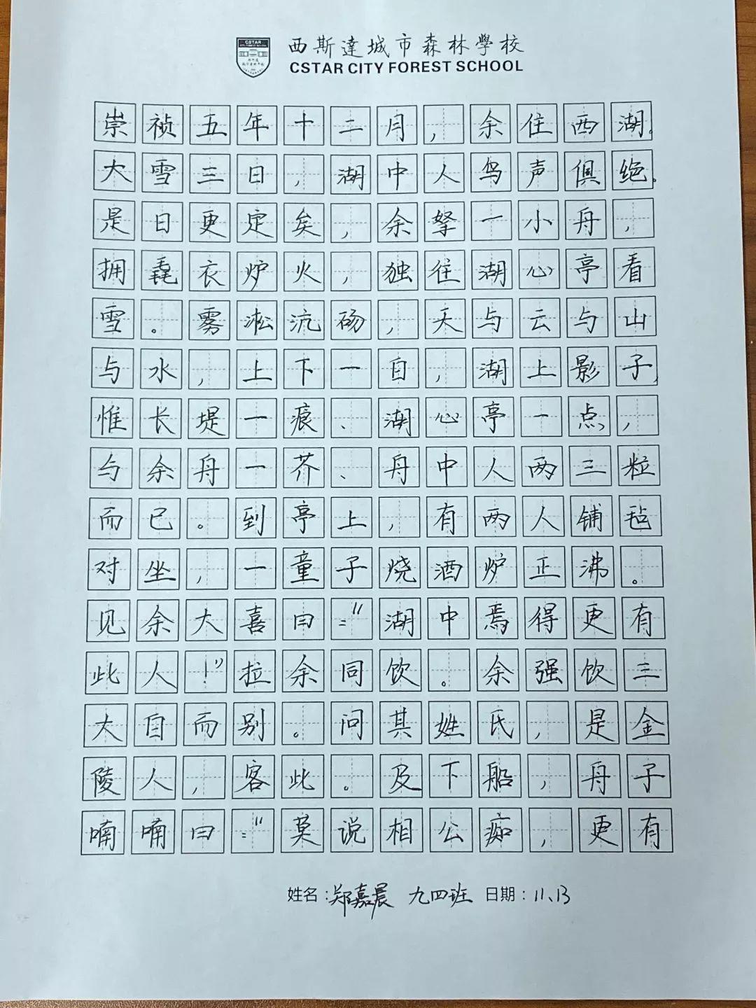 挥毫泼墨书细腻之韵 横平竖直立青云之志---304am永利集团官网都会森林学校初中部举行硬笔书法大赛