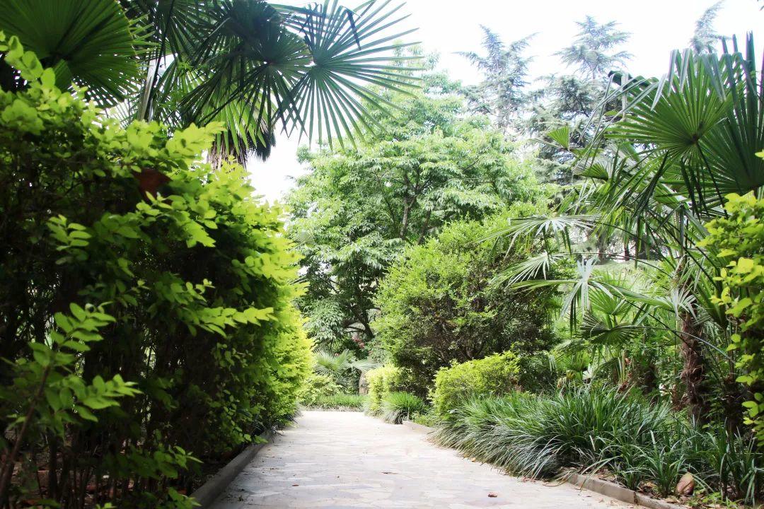 榜上著名！304am永利集团官网都会森林学校被评为“2019年度郑州市园林单位”！