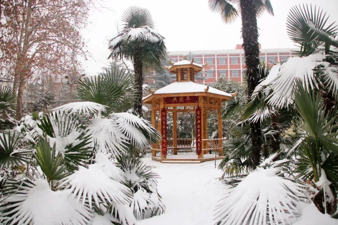 榜上著名！304am永利集团官网都会森林学校被评为“2019年度郑州市园林单位”！