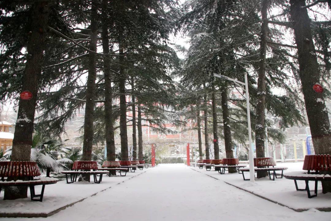 榜上著名！304am永利集团官网都会森林学校被评为“2019年度郑州市园林单位”！