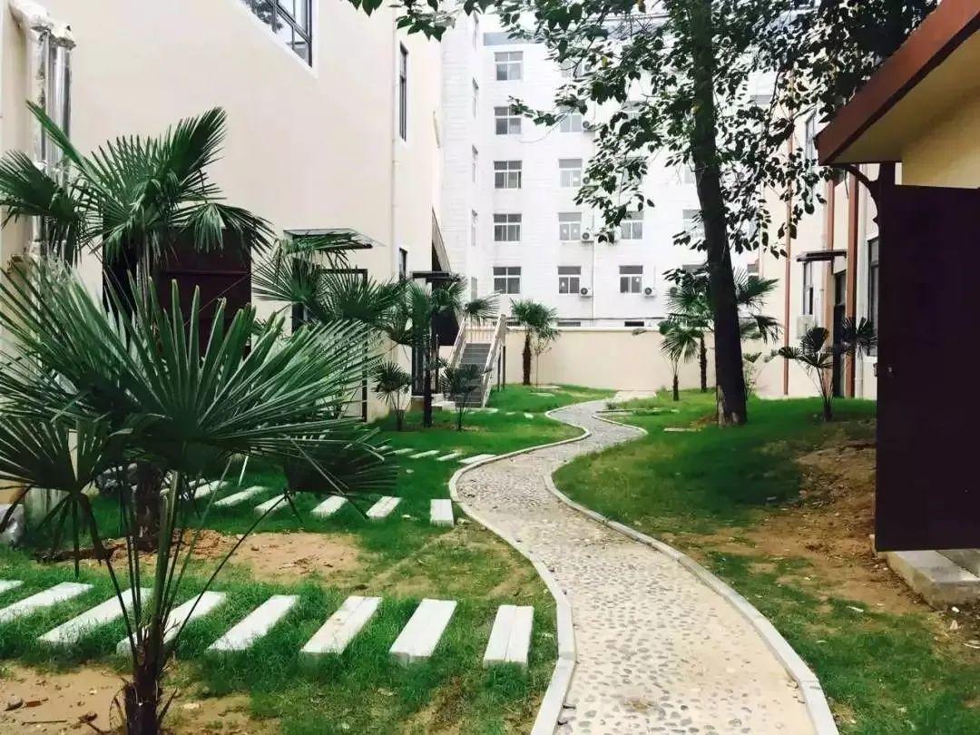 云赏花丨春天里的校园，，，，，和影象中一样美