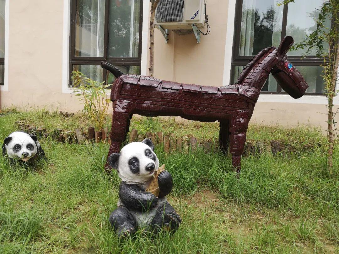 云赏花丨春天里的校园，，，，，和影象中一样美