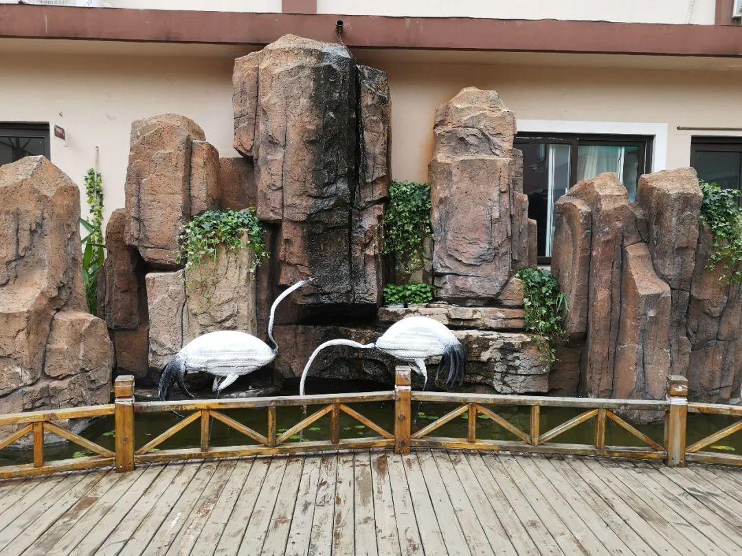 云赏花丨春天里的校园，，，，，和影象中一样美