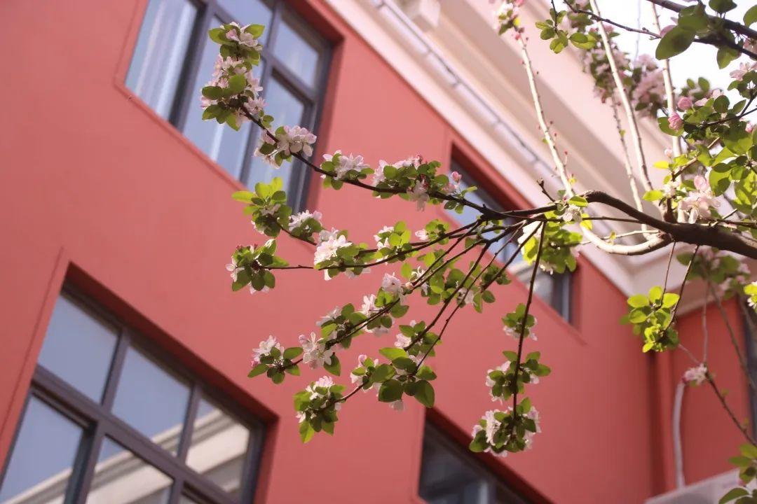 来304am永利集团官网都会森林学校，，，，，赏牡丹！