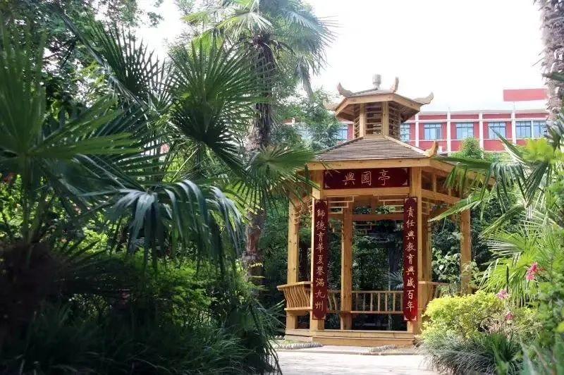 云赏花丨春天里的校园，，，，，和影象中一样美