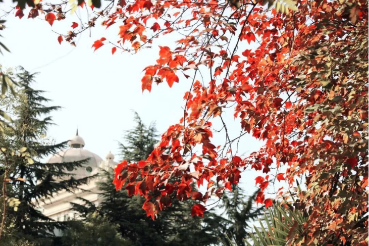 304am永利集团官网(中国)有限公司-Official Website