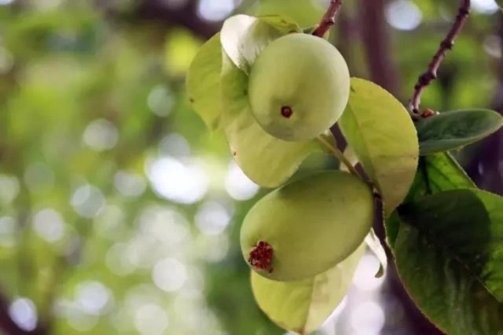 304am永利集团官网(中国)有限公司-Official Website