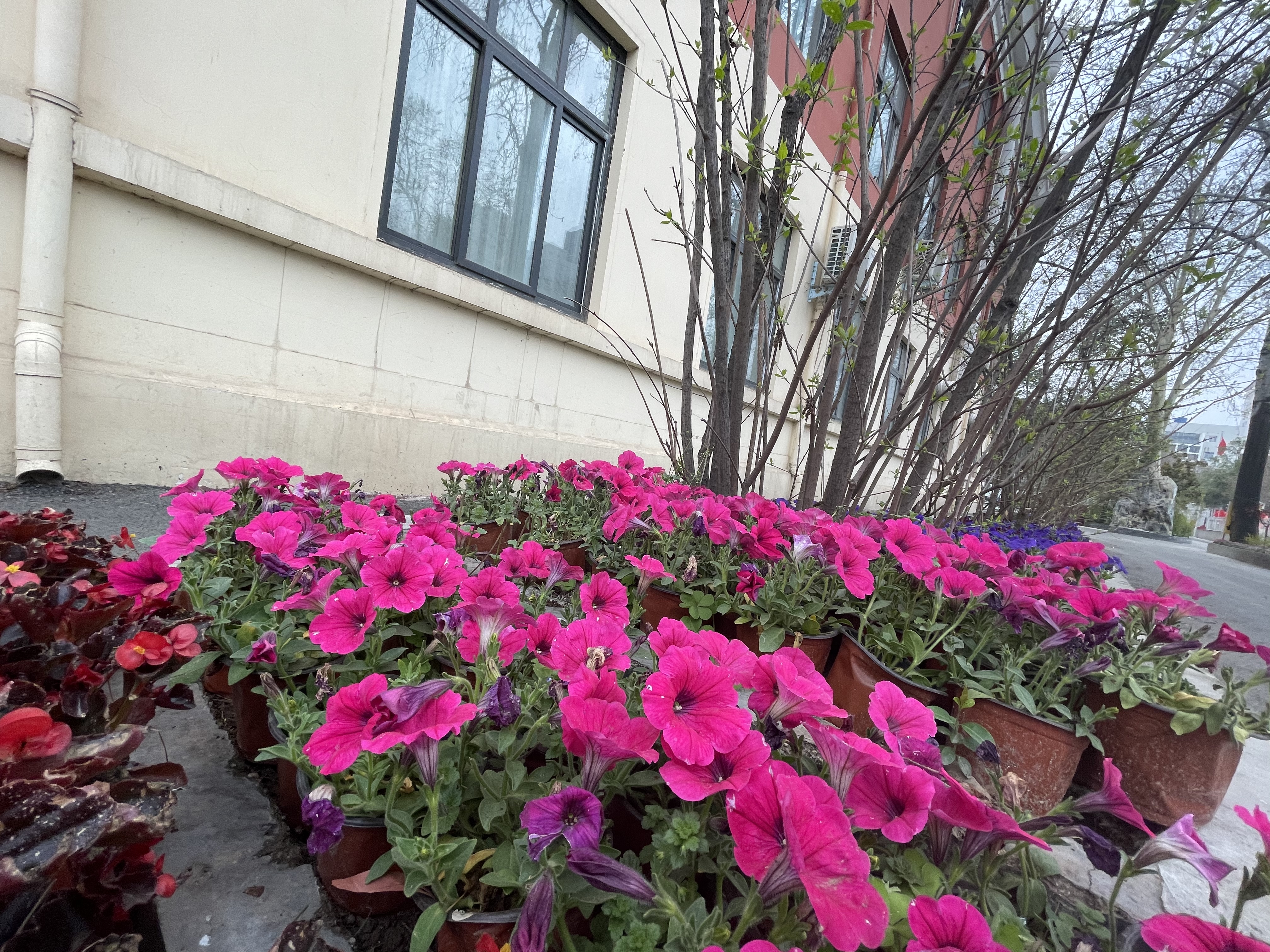 304am永利集团官网(中国)有限公司-Official Website