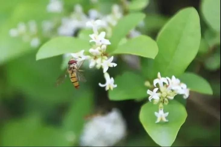 304am永利集团官网(中国)有限公司-Official Website