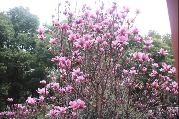 304am永利集团官网(中国)有限公司-Official Website