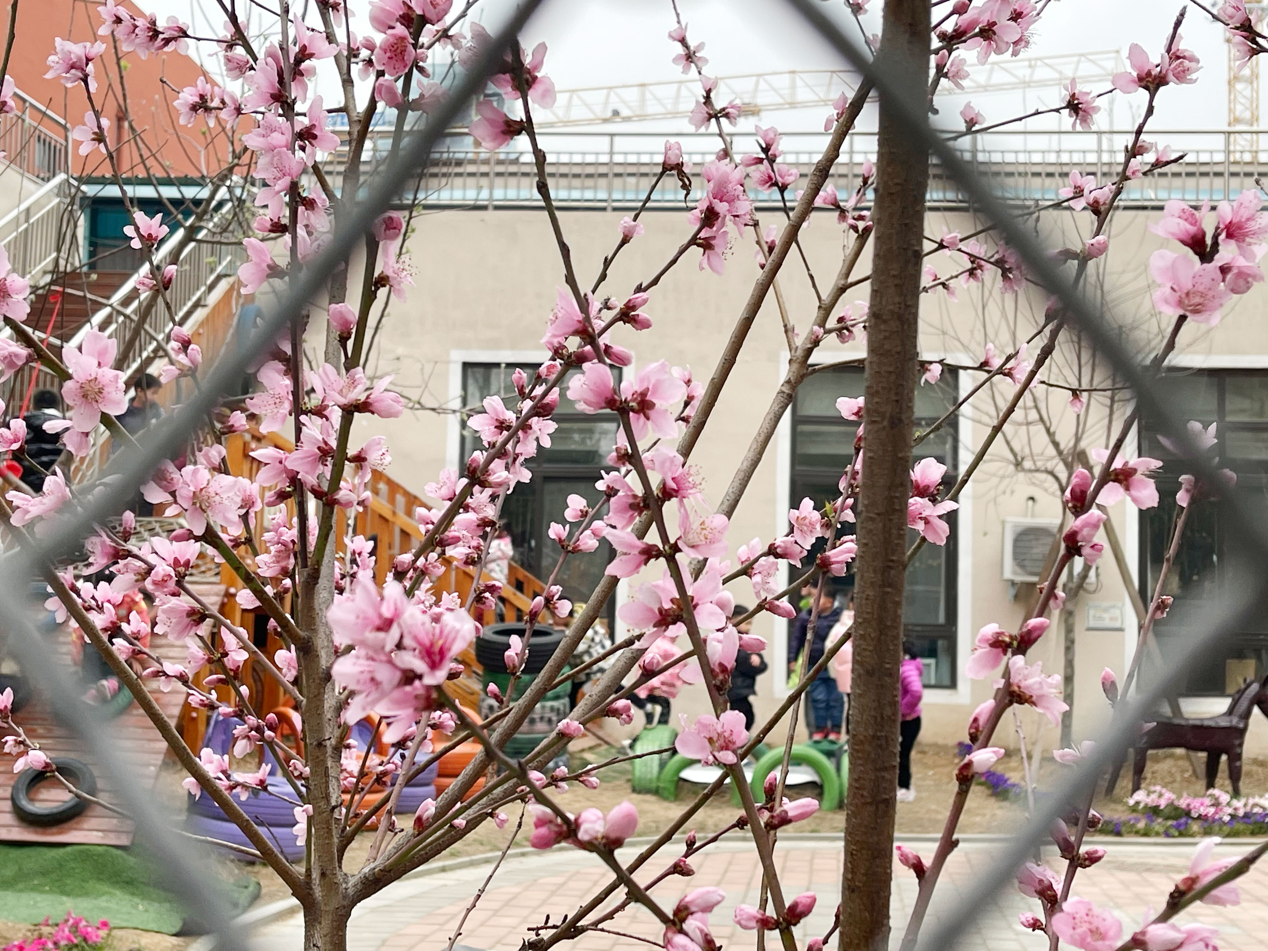 304am永利集团官网(中国)有限公司-Official Website