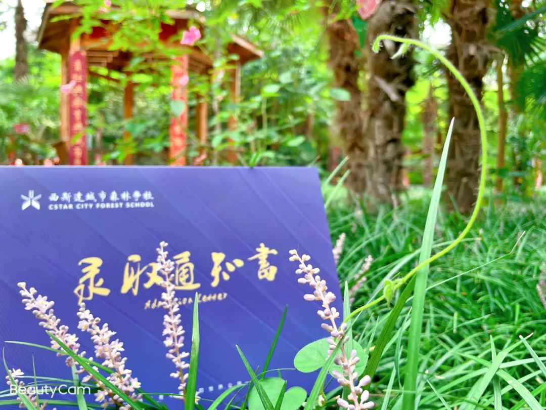 304am永利集团官网(中国)有限公司-Official Website