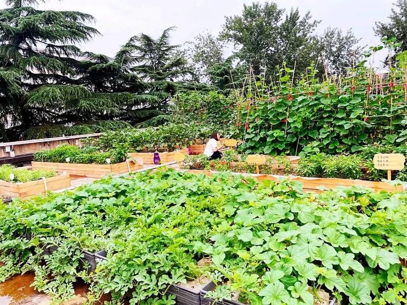 304am永利集团官网(中国)有限公司-Official Website