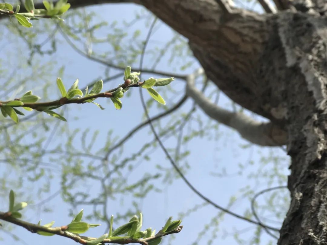 304am永利集团官网(中国)有限公司-Official Website