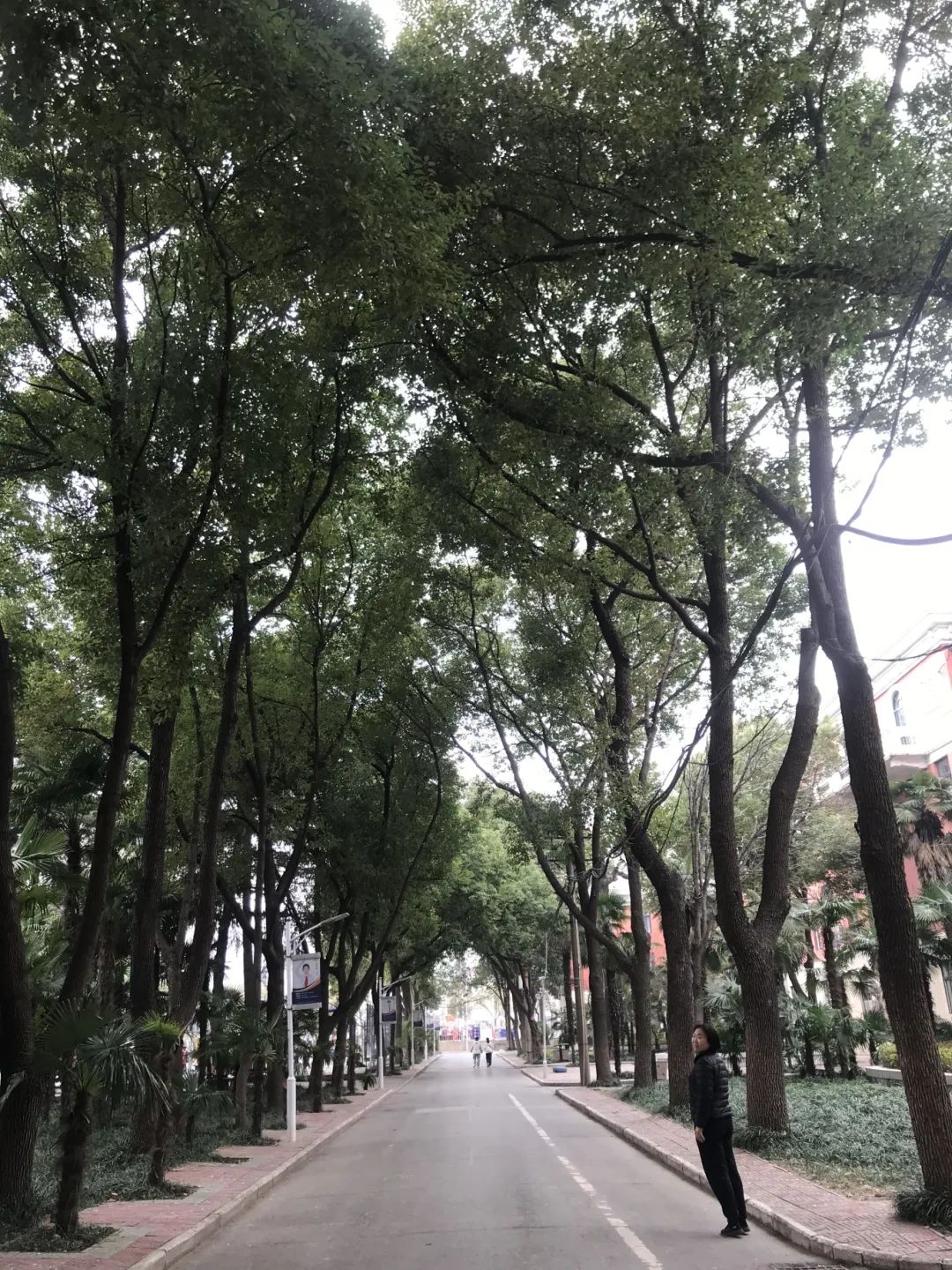 304am永利集团官网(中国)有限公司-Official Website